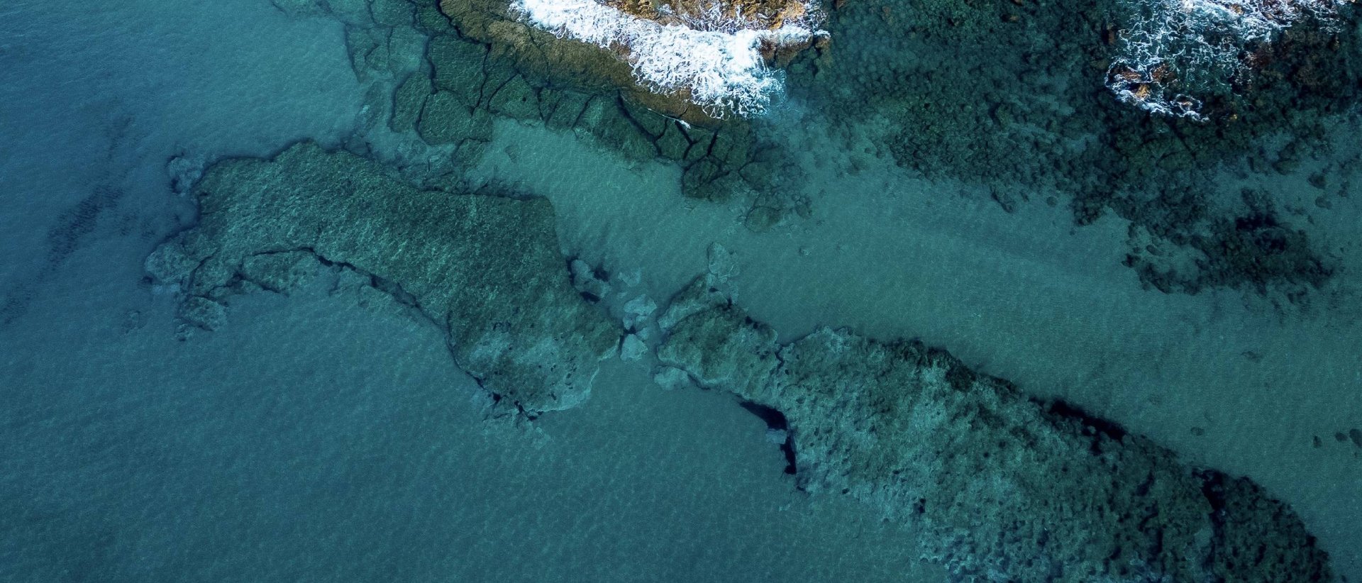 When the sea meets the blossoming land When the sea meets the blossoming land