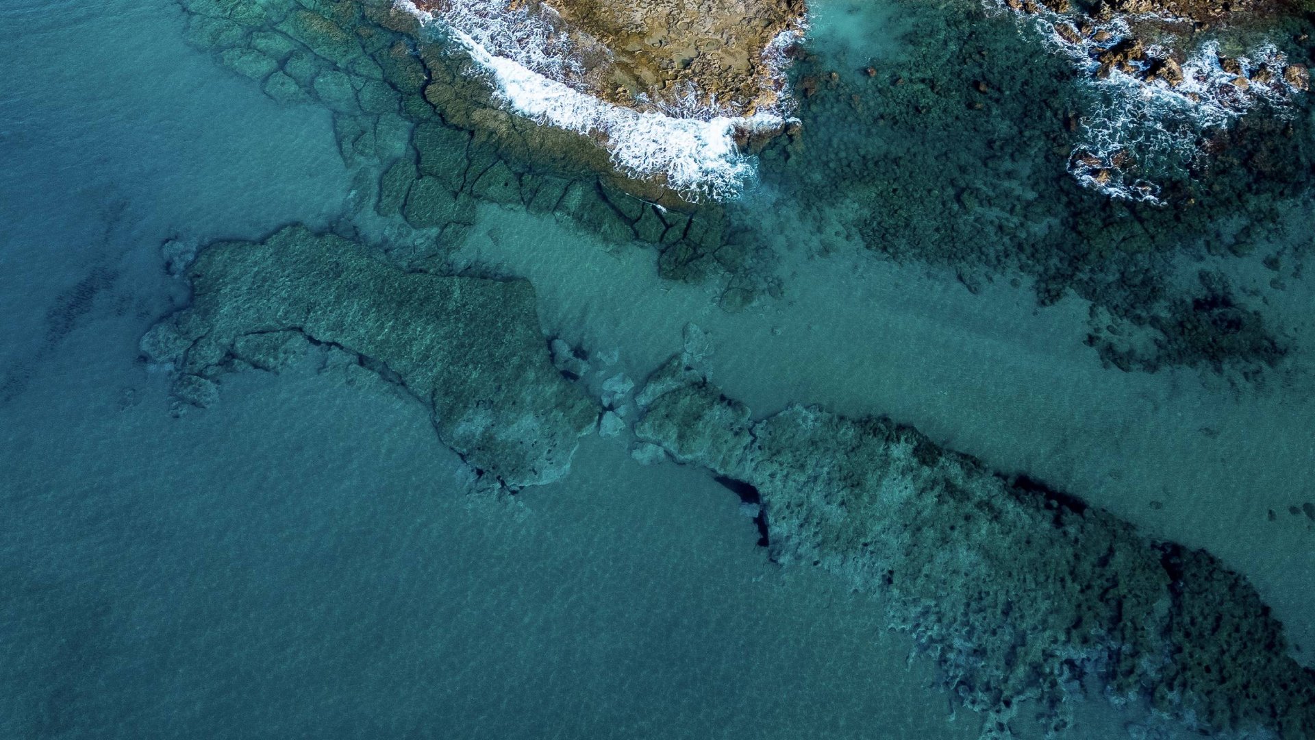 When the sea meets the blossoming land When the sea meets the blossoming land