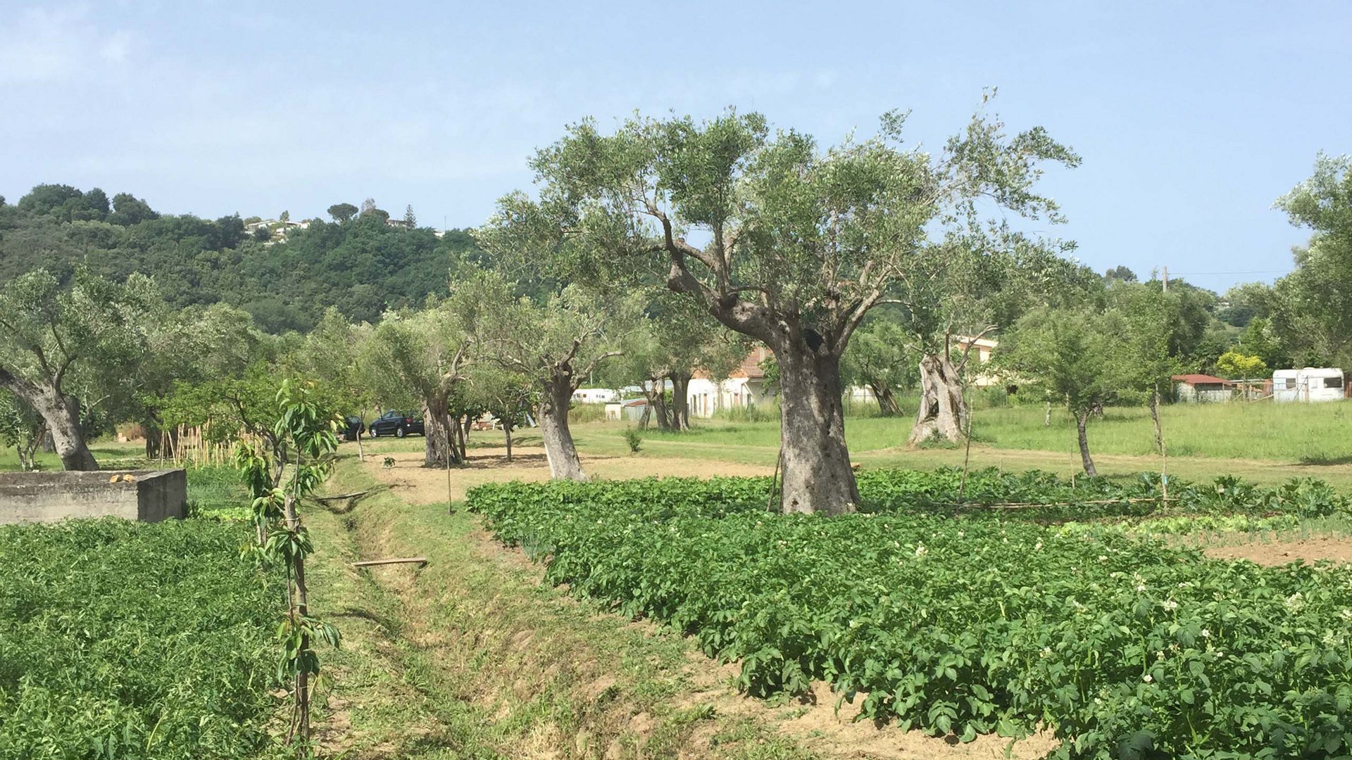 4-star hotel in Palinuro, a land of ancient flavours 4-star hotel in Palinuro, a land of ancient flavours